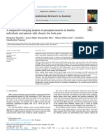 A Comparative Imaging Analysis of Paraspinal Muscles in Healthy Individuals and Patients With Chronic Low Back Pain