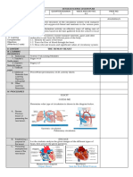 Lesson-Plan Circulation