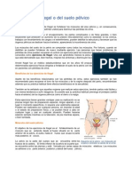 Ejercicios de Kegel o Del Suelo Pélvico