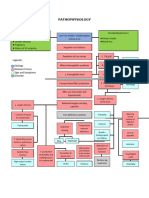 Pathophysiology of Iron Deficiency