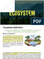 Basic Concept of Ecosystem