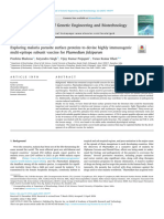 Plasmodium Falciparum