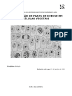 Relatório - Observação de Fases de Mitose em Células Vegetais