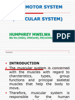 06 Locomotor-Muscular System