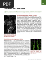 Cell Death and Destruction Cell