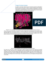 9.05 Photosystem II - The Oxygen-Evolving Complex