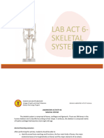 Skeletal System LAB