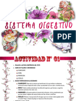 Tarea 05 - Sistema Digestivo