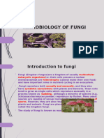 Microbiology of Fungi