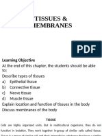 Tissues & Membranes