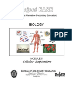 Biology M5 Cellular Respiration