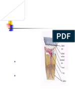 Cranial Cavity Dural Venous Sinuses and Pituatory Gland