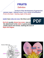 Fruits Clinical