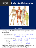 6 Notes Human Body An Orientation 2425