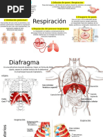 08-24 B Ventilación