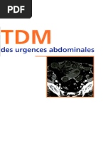 Professeur Eric Delabrousse, Bruno Kastler, Régis Baulard, David Guinier - TDM Des Urgences Abdominales (Imagerie Médicale - Formation) (French Edition) - MASSON (2009)