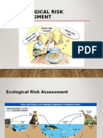 Risk Assessment