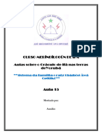 Aula 15 - Curso Meríndílogún de Ifá