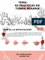 Notificaciones Diapositiva