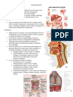 Sistema Digestório RESUMO