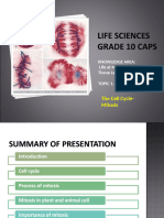 PP5 The Cell Cycle Mitosis 1453876766