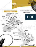 Semiologia de Aves