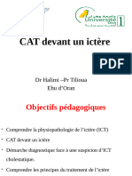 CAT Devant Un ICTERE Support