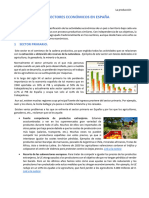 APUNTES Los Sectores Economicos en Espana