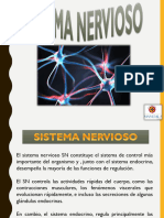 7 Anatomia Corporal Mandala Sist Nerv-Endocrino