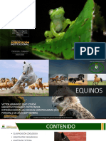 Equinos Sep 2024