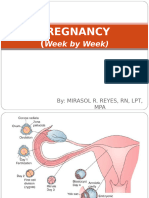 6pregnancy (Week by Week)