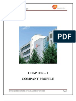 Chapter I Company Profile