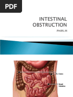 Intestinal Obstruction