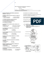 Prueba Del Sistema Respiratorio