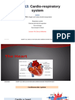 BPT 113 Cardiorespiratory System. 2024