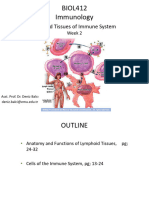 Cells and Tissues of Immune System