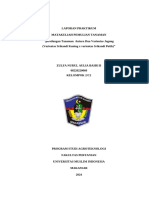 Format Pemuliaan Tanaman Akt 22