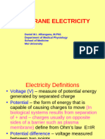 Membrane Electricity 2