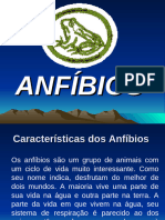 Anfíbios