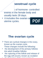 Menstrual Cycle