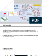 Metabolismo de Los Carbohidratos