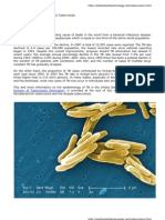 Mycobacterium Tuberculosis and Tuberculosis - Todar