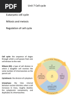 Cell Cycle