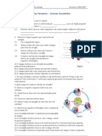 Ficha Formativa