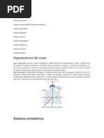 Riassunto Anatomia