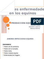 Expo Produccion Equina