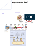 S7 - Estructura y Patogenia Viral