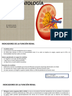 14 Insuficiencia Renal