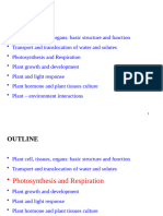 Photosynthesis Vs Cellular Respiration