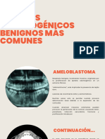 Tumores Odontogenicos